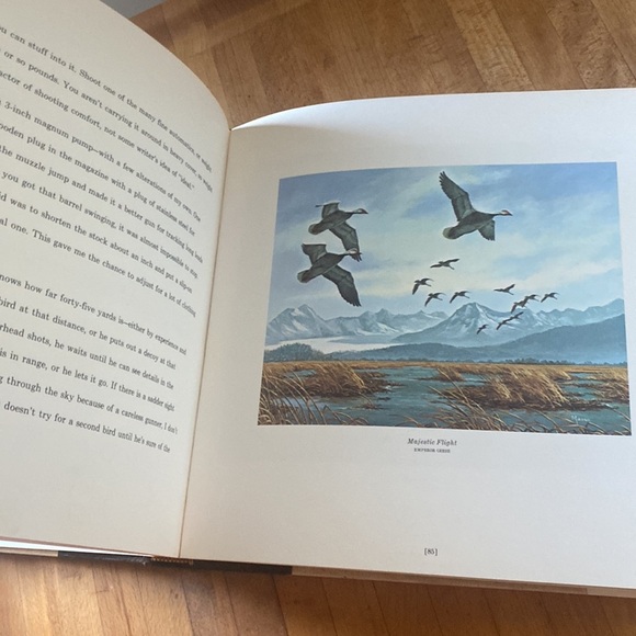 A gallery of waterfowl and upland birds David Maass Gene Hill book 1978 - Picture 10 of 11